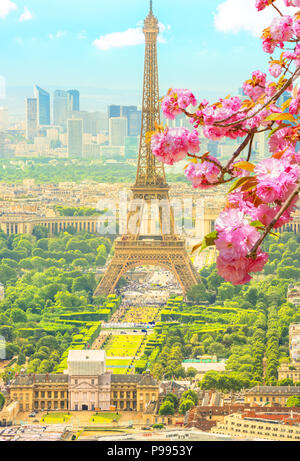 Direction générale des cerisiers en fleurs en premier plan et la ville des toits de Paris avec la Tour Eiffel en arrière-plan. Fond pittoresque de saison. Papier peint panoramique avec Tour Eiffel. Tir vertical. Banque D'Images