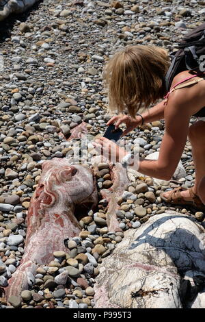 Vitraux fer quartz calcite rouge dans la tête de coupe sur les Mumbles à Limeslade premier extrait par les Romains est révélé sous les cailloux du rivage. Banque D'Images