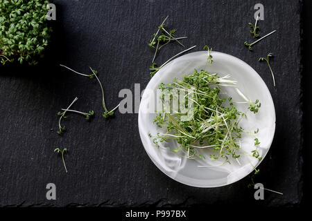 De Cuisine, on utilise le cresson alénois Banque D'Images