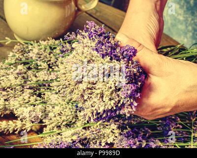 Des mains habiles girl putting fresh blossoms de lavande en bouquet parfumé merveilleusement. Fleurs et de cisailles sur milieu de table en bois Banque D'Images