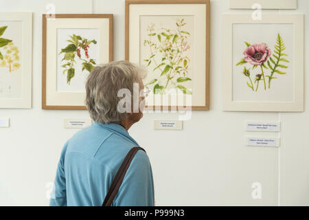 Femme à l'exhibition, en regardant de près à l'affichage des tableaux art réaliste magnifique jardin botanique - RHS Flower Show de Chatsworth, Derbyshire, Angleterre, Royaume-Uni. Banque D'Images