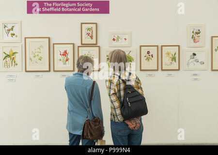 Les gens à l'exposition, à la recherche et à parler de l'affichage des tableaux art botanique réaliste - RHS Flower Show de Chatsworth, Derbyshire, Angleterre, Royaume-Uni. Banque D'Images