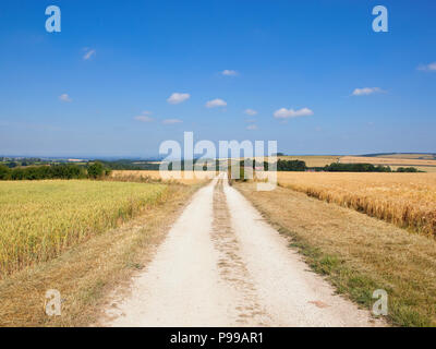 Un calcaire blanc bridleway et sentier près de Wharram Percy en perspective dans le Yorkshire Wolds sous un ciel bleu avec peu de nuages blancs en été Banque D'Images