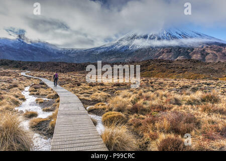 Premiers kilomètres du célèbre Tongariro crossing randonnée pédestre à la fin de l'hiver, l'Île du Nord, en Nouvelle-Zélande. Tôt le matin et complètement seul. Banque D'Images