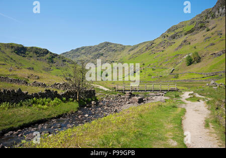 Sentier pédestre promenade à côté de Far Easedale Gill près de Grasmere dans Spring Lake District National Park Cumbria Angleterre Royaume-Uni Grande-Bretagne Banque D'Images