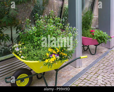 Dans le jardin Trauttmansdorff Merano (Meran), Italie - 27 juin 2018 : l'accès avenue décorée de plantes médicinales dans le célèbre jardin botanique à Mera Banque D'Images