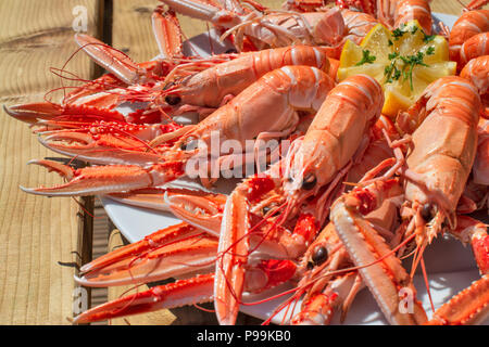 Plateau pêchés localement des crevettes sur un Écossais jour lumineux Banque D'Images