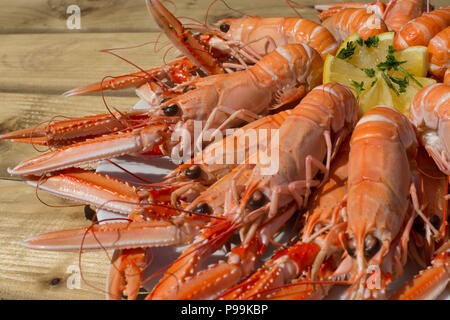 Plateau pêchés localement des crevettes sur un Écossais jour lumineux Banque D'Images