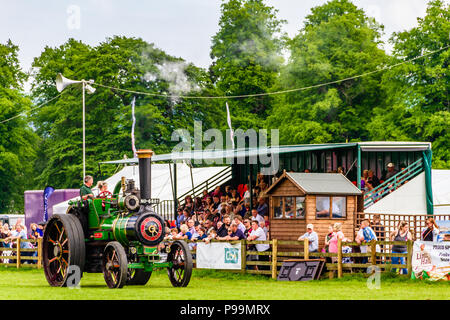 Le moteur à vapeur victorienne de Ongar 'Duke' sur l'affichage à la Northumberland County Show, Stocksfield. Mai 2018. Banque D'Images