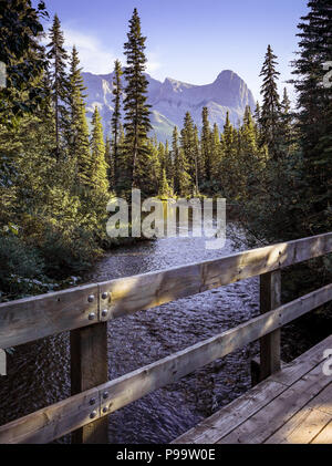 Vue du pont au-dessus du ruisseau en forêt avec montagnes en arrière-plan au coucher du soleil à Canmore, Alberta, Canada Banque D'Images