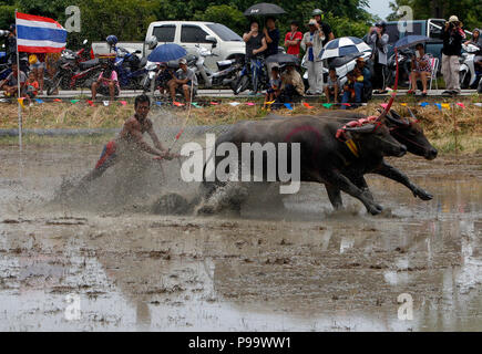 La Thaïlande. 15 juillet, 2018. La concurrence sur les jockeys Chonburi buffalo festival annuel de la course dans la province de Chonburi, à l'est de Bangkok le 15 juillet 2018. Chaiwat Subprasom Crédit :/Pacific Press/Alamy Live News Banque D'Images