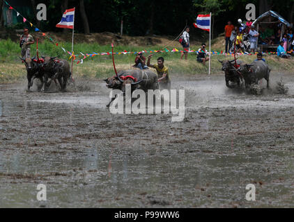 La Thaïlande. 15 juillet, 2018. La concurrence sur les jockeys Chonburi buffalo festival annuel de la course dans la province de Chonburi, à l'est de Bangkok le 15 juillet 2018. Chaiwat Subprasom Crédit :/Pacific Press/Alamy Live News Banque D'Images