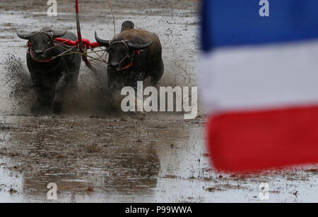 La Thaïlande. 15 juillet, 2018. La concurrence sur les jockeys Chonburi buffalo festival annuel de la course dans la province de Chonburi, à l'est de Bangkok le 15 juillet 2018. Chaiwat Subprasom Crédit :/Pacific Press/Alamy Live News Banque D'Images