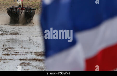 La Thaïlande. 15 juillet, 2018. La concurrence sur les jockeys Chonburi buffalo festival annuel de la course dans la province de Chonburi, à l'est de Bangkok le 15 juillet 2018. Chaiwat Subprasom Crédit :/Pacific Press/Alamy Live News Banque D'Images