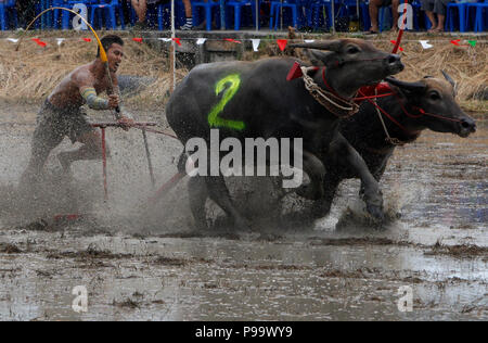 La Thaïlande. 15 juillet, 2018. La concurrence sur les jockeys Chonburi buffalo festival annuel de la course dans la province de Chonburi, à l'est de Bangkok le 15 juillet 2018. Chaiwat Subprasom Crédit :/Pacific Press/Alamy Live News Banque D'Images