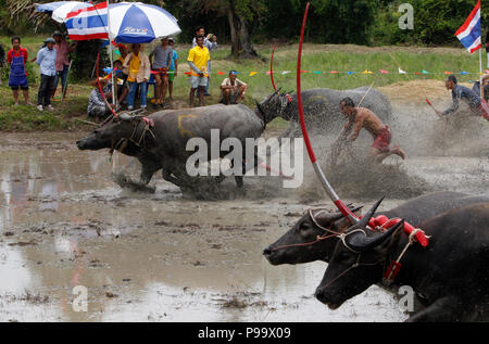 La Thaïlande. 15 juillet, 2018. La concurrence sur les jockeys Chonburi buffalo festival annuel de la course dans la province de Chonburi, à l'est de Bangkok le 15 juillet 2018. Chaiwat Subprasom Crédit :/Pacific Press/Alamy Live News Banque D'Images