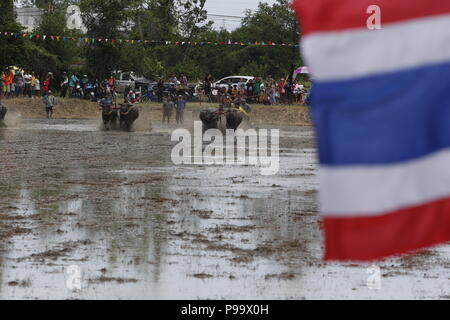 La Thaïlande. 15 juillet, 2018. La concurrence sur les jockeys Chonburi buffalo festival annuel de la course dans la province de Chonburi, à l'est de Bangkok le 15 juillet 2018. Chaiwat Subprasom Crédit :/Pacific Press/Alamy Live News Banque D'Images