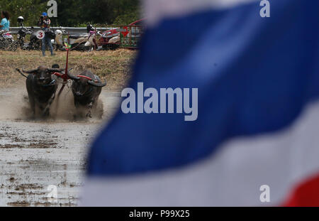 La Thaïlande. 15 juillet, 2018. La concurrence sur les jockeys Chonburi buffalo festival annuel de la course dans la province de Chonburi, à l'est de Bangkok le 15 juillet 2018. Chaiwat Subprasom Crédit :/Pacific Press/Alamy Live News Banque D'Images