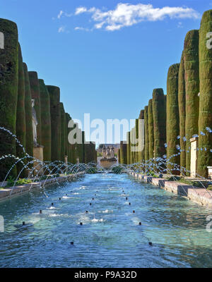 Piscine dans les jardins paysagers à l'Alcazar de los Reyes Cristianos à Cordoba, Espagne Banque D'Images