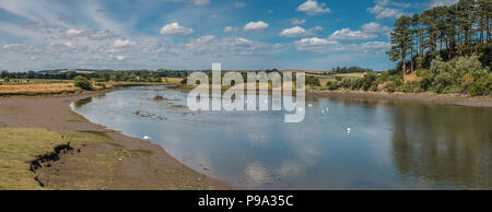 La côte de Northumberland paysage panoramique de l'AONB, cygnes sur la rivière Aln à Blackpool en été Banque D'Images