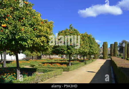 Jardins paysagers à l'Alcazar de los Reyes Cristianos à Cordoba, Espagne Banque D'Images