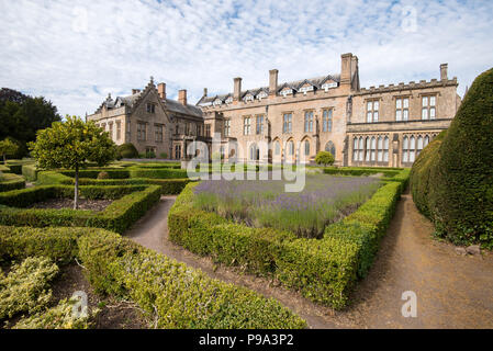 La lavande dans le jardin espagnol à Newstead Abbey dans le Nottinghamshire, Angleterre, Royaume-Uni Banque D'Images