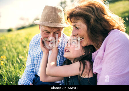 Couple avec sa petite-fille à l'extérieur au printemps de la nature, de détente sur l'herbe. Banque D'Images