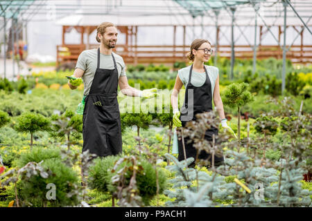 Heureux couple de travailleurs à la recherche sur les plantes qui travaillent dans la serre Banque D'Images