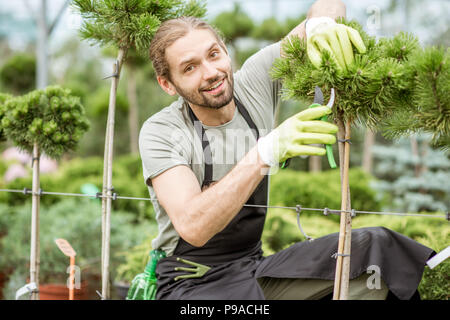 L'élagage des arbres d'ornement de l'homme Banque D'Images