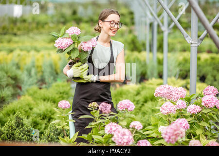 Femme avec des plantes dans la serre Banque D'Images