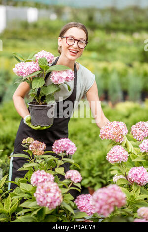 Femme avec des plantes dans la serre Banque D'Images