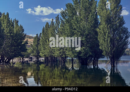 Arbres se reflétant dans l'eau du réservoir de la rivière Riaza, Linares, Segovia, Castilla y Leon, Spain, Europe Banque D'Images