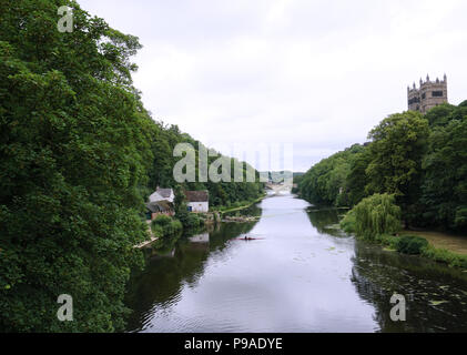 Vue de la rivière et de la cathédrale d'usure et un hangar à l'Université Durham England UK Banque D'Images