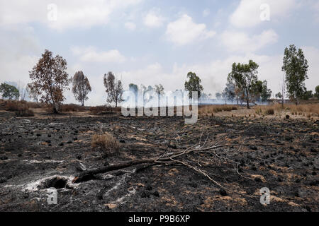 Conseil Régional Eshkol, Israël. 17 juillet, 2018. Les pompiers, le KKL forest rangers et des soldats combattre côte à côte pour éteindre un feu de forêt à l'ouest du kibboutz Beéri, dans le conseil régional Eshkol, près de la bande de Gaza, enflammé par des bombes incendiaires et explosifs livrés par les cerfs-volants ou des ballons gonflés à l'hélium de la bande de Gaza en Israël. Plus de 50 kilomètres carrés de champs agricoles et forestières ont été incendiés dans une vague d'incendies criminels, le terrorisme palestinien maintenant dans son quatrième mois. Credit : Alon Nir/Alamy Live News Banque D'Images