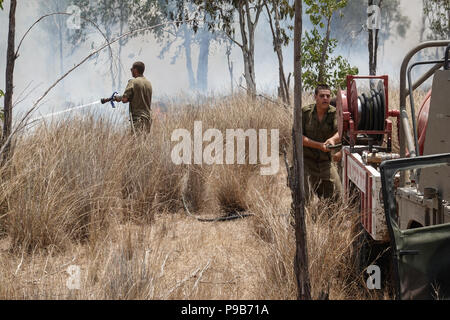 Conseil Régional Eshkol, Israël. 17 juillet, 2018. Les pompiers, le KKL forest rangers et des soldats combattre côte à côte pour éteindre un feu de forêt à l'ouest du kibboutz Beéri, dans le conseil régional Eshkol, près de la bande de Gaza, enflammé par des bombes incendiaires et explosifs livrés par les cerfs-volants ou des ballons gonflés à l'hélium de la bande de Gaza en Israël. Plus de 50 kilomètres carrés de champs agricoles et forestières ont été incendiés dans une vague d'incendies criminels, le terrorisme palestinien maintenant dans son quatrième mois. Credit : Alon Nir/Alamy Live News Banque D'Images