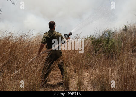 Conseil Régional Eshkol, Israël. 17 juillet, 2018. Les pompiers, le KKL forest rangers et des soldats combattre côte à côte pour éteindre un feu de forêt à l'ouest du kibboutz Beéri, dans le conseil régional Eshkol, près de la bande de Gaza, enflammé par des bombes incendiaires et explosifs livrés par les cerfs-volants ou des ballons gonflés à l'hélium de la bande de Gaza en Israël. Plus de 50 kilomètres carrés de champs agricoles et forestières ont été incendiés dans une vague d'incendies criminels, le terrorisme palestinien maintenant dans son quatrième mois. Credit : Alon Nir/Alamy Live News Banque D'Images