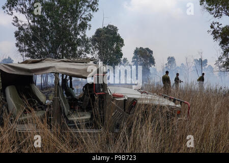 Conseil Régional Eshkol, Israël. 17 juillet, 2018. Les pompiers, le KKL forest rangers et des soldats combattre côte à côte pour éteindre un feu de forêt à l'ouest du kibboutz Beéri, dans le conseil régional Eshkol, près de la bande de Gaza, enflammé par des bombes incendiaires et explosifs livrés par les cerfs-volants ou des ballons gonflés à l'hélium de la bande de Gaza en Israël. Plus de 50 kilomètres carrés de champs agricoles et forestières ont été incendiés dans une vague d'incendies criminels, le terrorisme palestinien maintenant dans son quatrième mois. Credit : Alon Nir/Alamy Live News Banque D'Images