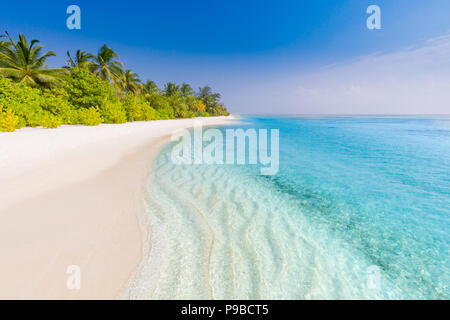 Belle plage avec des palmiers et moody sky. Les vacances d'été vacances voyage concept d'arrière-plan. Maldives Paradise beach. Voyage d'été de luxe Banque D'Images