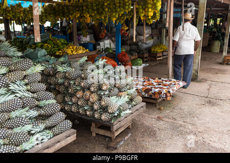 Pará, Brésil. Les ananas frais exposés dans la rue juste en Amazonie. Banque D'Images