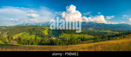 Panorama des Tatras en Pologne, mountain meadow Banque D'Images
