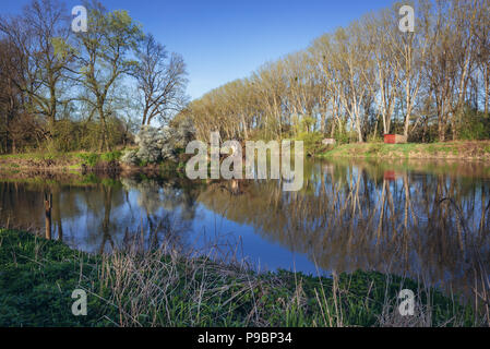 Tripoint de l'Autriche, la République tchèque et la Slovaquie sur la Thaya et de la rivière Morava, vue wrom banque autrichienne Banque D'Images