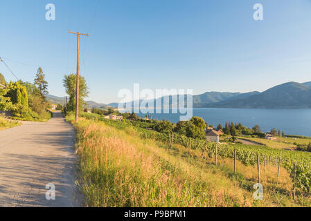 Route de campagne sur colline avec vue sur les vignes, lac, montagne et ciel bleu en été Banque D'Images