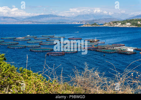 L'aquaculture dans une baie sur l'île grecque de Corfou Banque D'Images