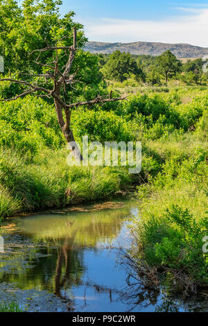 Un ruisseau dans la montagne de l'Oklahoma Wichita Banque D'Images