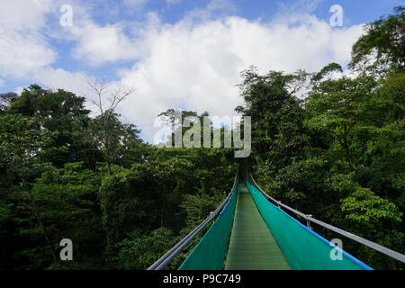 Pont suspendu à travers la canopée tropicale luxuriante au Costa Rica. Banque D'Images