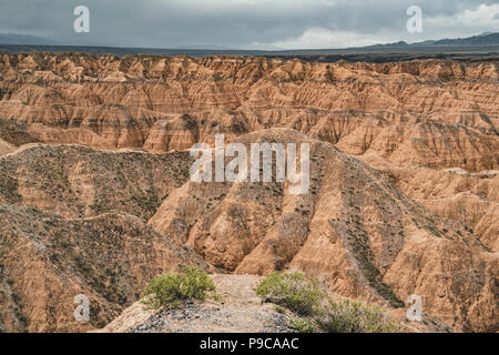 Zhabyr jaune Canyon canyon dans le parc national, le Kazakhstan Auezov Banque D'Images