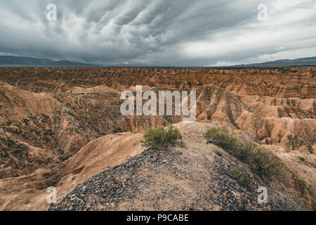 Zhabyr jaune Canyon canyon dans le parc national, le Kazakhstan Auezov Banque D'Images