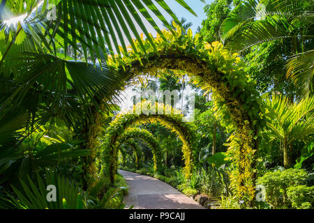 Vue Sur Le Jardin National Des Orchidées Dans Le Jardin Botanique De Singapour. Singapour Banque D'Images