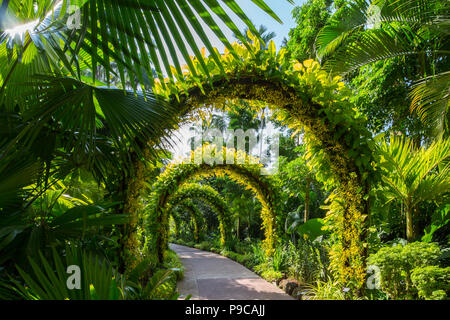 Vue sur le jardin national des orchidées dans les jardins botaniques de Singapour. Singapour Banque D'Images