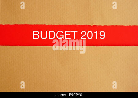 Le budget de 2019 ci-dessous sur papier brun déchiré - concept financier Banque D'Images